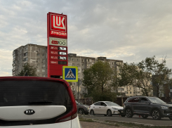Бензин в Новороссийске: где можно заправиться 11 октября 