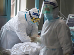 Пять человек за сутки заразились коронавирусом в Новороссийске 