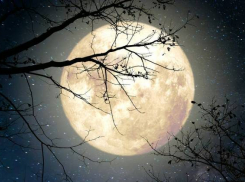 В июле новороссийцы смогут увидеть сразу несколько редких астрологических явлений