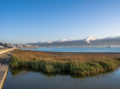 Погода в Новороссийске: приятный сюрприз для жителей и гостей 