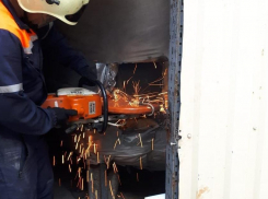 Неблагодарного кота-«фокусника» в Новороссийске спасли, несмотря на его старания