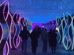 Новогоднее настроение краснодарцев обошлось бизнесмену Сергею Галицкому почти в 230 млн. рублей