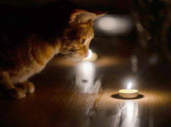 В Восточном районе Новороссийска выключили свет 