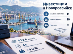 Почти 9 тысяч новых рабочих мест создадут инвестпроекты в Новороссийске