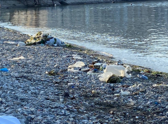 Новороссийцы в ужасе: Волочаевский пляж тонет в мусоре