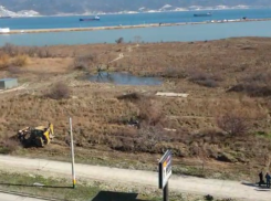 Смерть краснокнижников в Прилагунье оценили в 1,4 млн руб