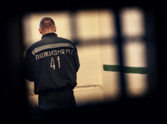 Верховный суд одобрил пожизненное наказание для педофилов в России