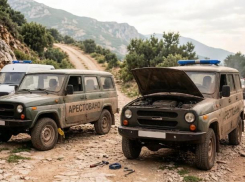 Горные маршруты вне закона: в Сочи поймали нелегальных перевозчиков