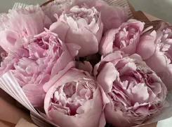 Гороскоп от «Блокнота»: ракам необходим отдых, а весам перестать тратиться