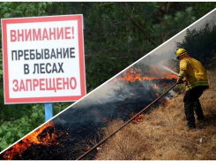 Почему новороссийцам лучше воздержаться от походов в лес 