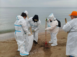 Можно ли купаться в Анапе: Роспотребнадзор проверит пляжи после майских праздников 