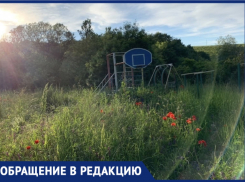 Вся в траве и маке: жительница Новороссийска возмущена состоянием детской площадки в с.Федотовка