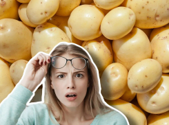Картофельная «инфляция»: в Новороссийске и на Кубани дорожают овощи? 