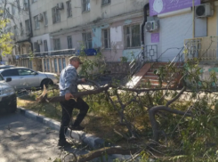 Ураган в Новороссийске не утихнет: коммунальные службы разгребают завалы