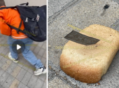 Хлебом с лезвием юный новороссиец «угощал» бродячих собак