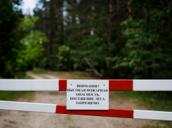 Походы и пикники в лесу временно запрещены для новороссийцев