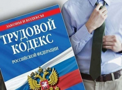 Почти год не платил зарплату сотрудникам: в Новороссийске оштрафовали директора крупного предприятия