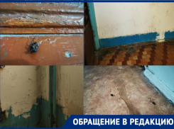 «Мы должны жить как свиньи»: жительница Новороссийска возмущена работой УК «ЖКС»