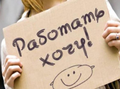 Безработные новороссийцы могут устроиться в онлайн-компании