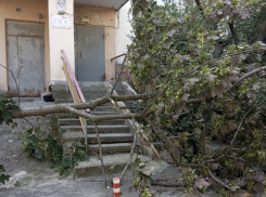 Норд-ост в Краснодарском крае: что натворил ветер в Новороссийске и в Краснодаре 