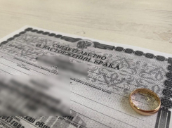  В России стали реже разводиться: что с браками и разводами в Новороссийске