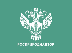 Росприроднадзор зафиксировал сброс сточных вод в Чёрное море в Новороссийске