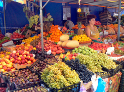 Заказать продукты в Новороссийске с рынка можно будет уже этим летом
