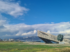 В Новороссийске появятся новые экотропы: Пионерская роща и не только 