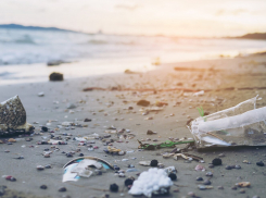 А мы в этом купаемся: в Чёрном море обнаружено превышение химикатов 