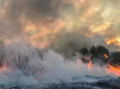 Шашлыки на майских праздниках могут лишить новороссийцев целого состояния 