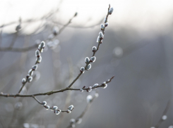 Пятый месяц зимы… В Новороссийске по-прежнему прохладно