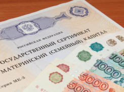 923,4 млн рублей выделили многодетным семьям на Кубани 