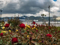 Погода в Новороссийске: пасмурно и дождь