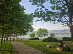 Гороскоп от «Блокнота»: тельцам избегать лишних трат, а ракам проявить мудрость