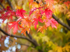 Четверг в Новороссийске будет ясным и тёплым 