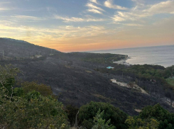 Опережая жару: в Новороссийске ввели особый противопожарный режим