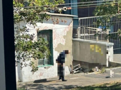 «Снимал штаны, справлял нужду..»: вид из окна поразил жительницу Новороссийска 