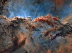 Гороскоп от “Блокнота” на 20 июня: знакам стоит быть более тактичными в общении