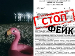 «Сезона в Анапе, Новороссийске и Геленджике не будет!» - правда? Фейк!
