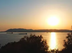 В Новороссийске будет слышна стрельба: горожан просят сохранять спокойствие