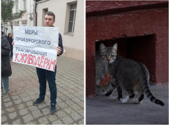 Новороссийцы вышли на пикет с призывом открыть подвал, где могли замуровать кошек 