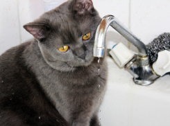 Улицы Новороссийска на сутки останутся без воды 