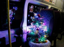 Мандарины и конфеты предлагают пассажирам в маршрутках Новороссийска