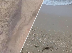 Море в Анапе покрылось мазутной пленкой: нефть выбрасывается на берег 