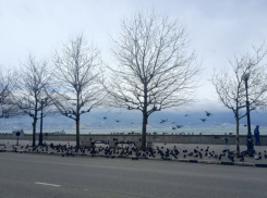 Атака БПЛА в Новороссийске: транспорт не ездит, в школу не идем 