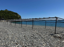 Море без мазута: пляжи Новороссийска готовят к курортному сезону 