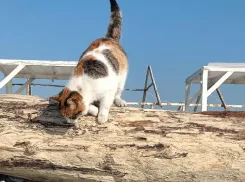 Испачкали всю одежду: чем может обвернуться прогулка для новороссийцев