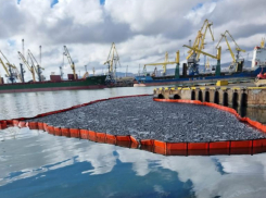 Моряка из Китая наказали за разлив нефти в Новороссийске 