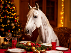 Если бы знаки зодиака были новогодними блюдами: праздничный гороскоп для новороссийцев от «Блокнота»