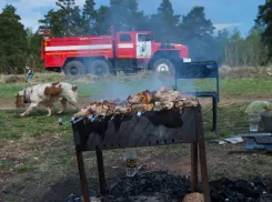 Новороссийцам следует воздержаться от походов в лес 
